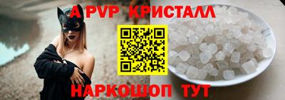 spice Кингисепп
